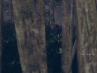 lost_via_domus_08.jpg