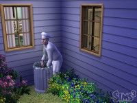 the_sims3_05.jpg