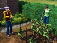 the_sims3_07.jpg