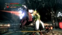 dmc4_06.jpg